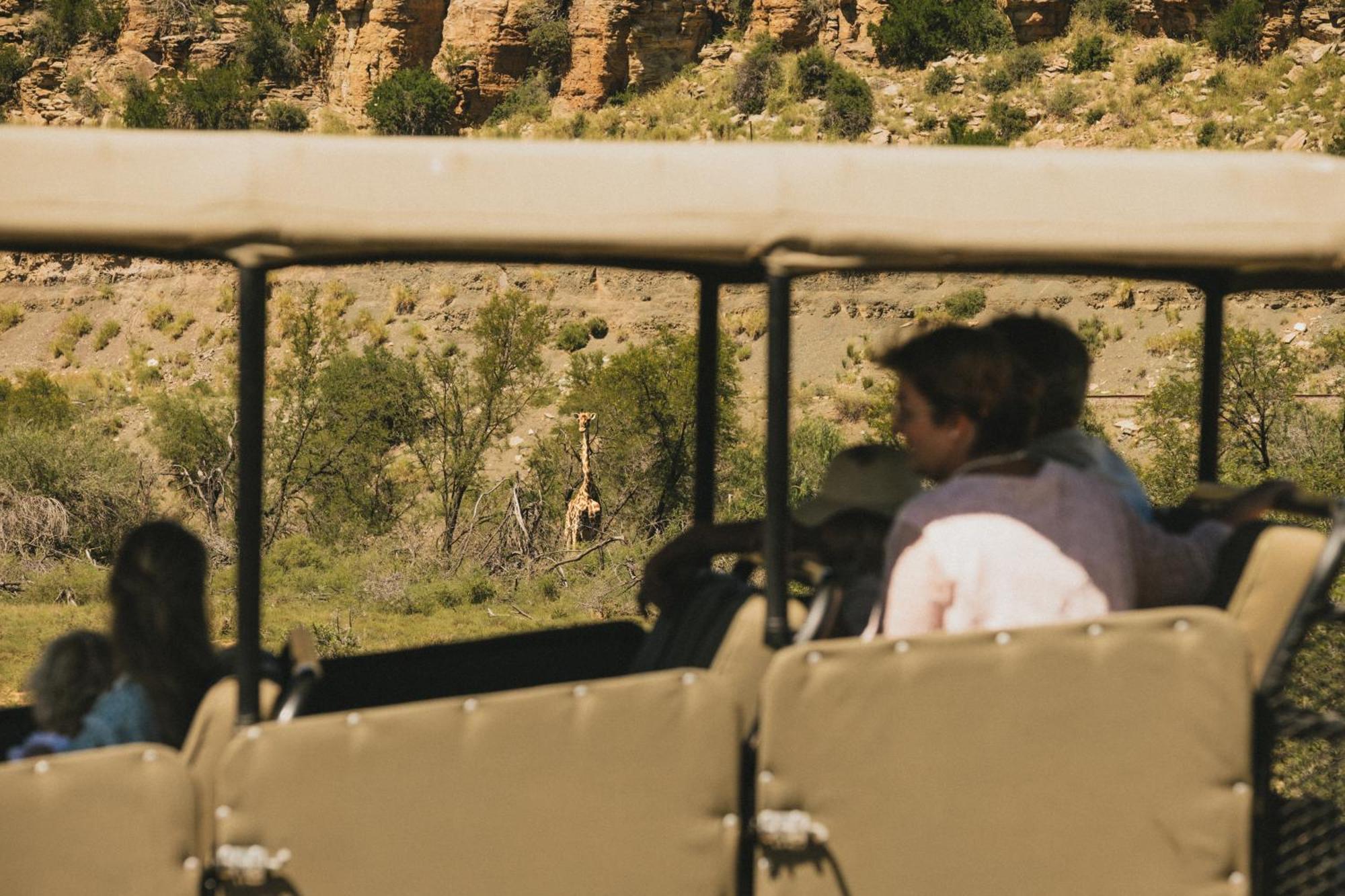 Buccara Wildlife Reserve Graaff Reinet Bagian luar foto