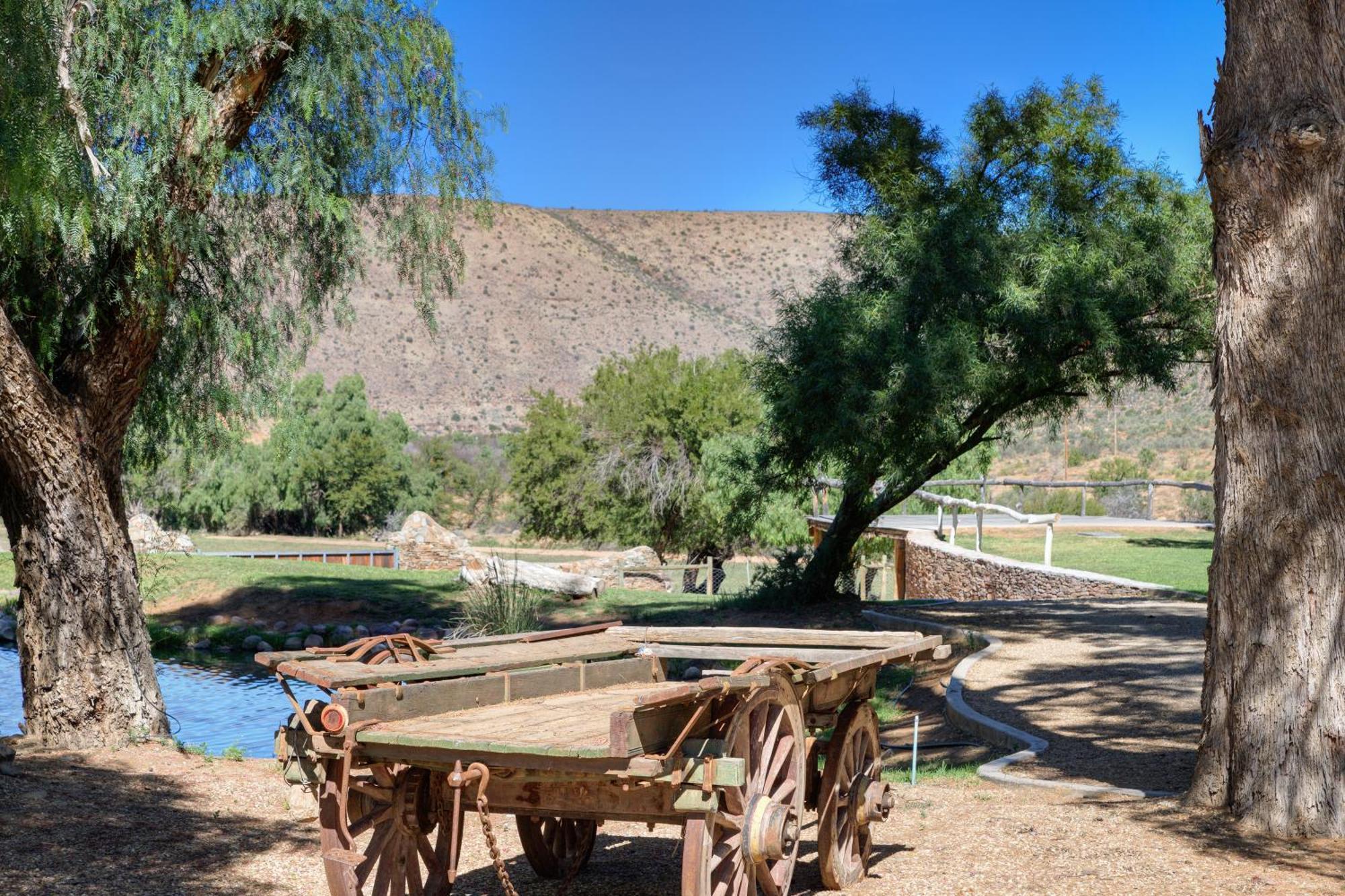 Buccara Wildlife Reserve Graaff Reinet Bagian luar foto
